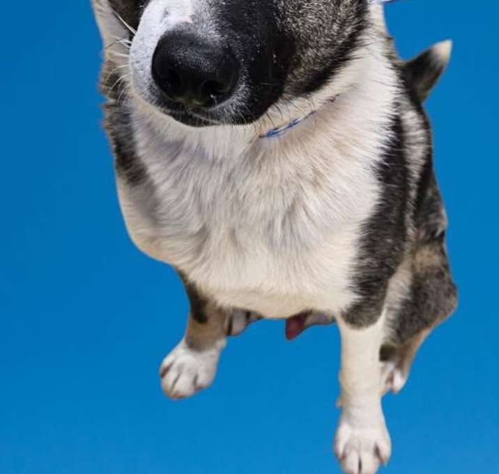 Photo of Ivan