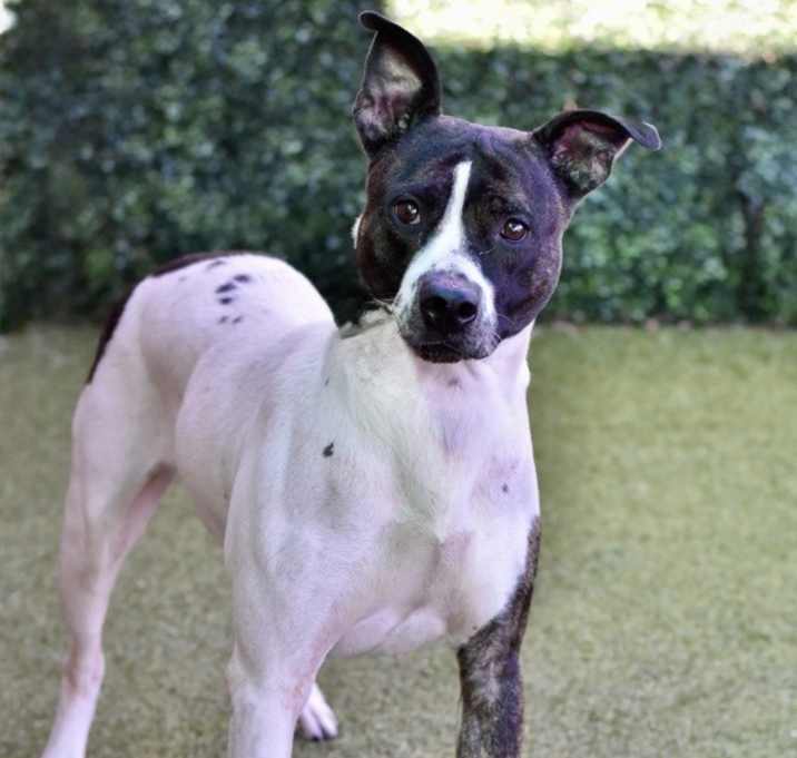 Photo of Penelope