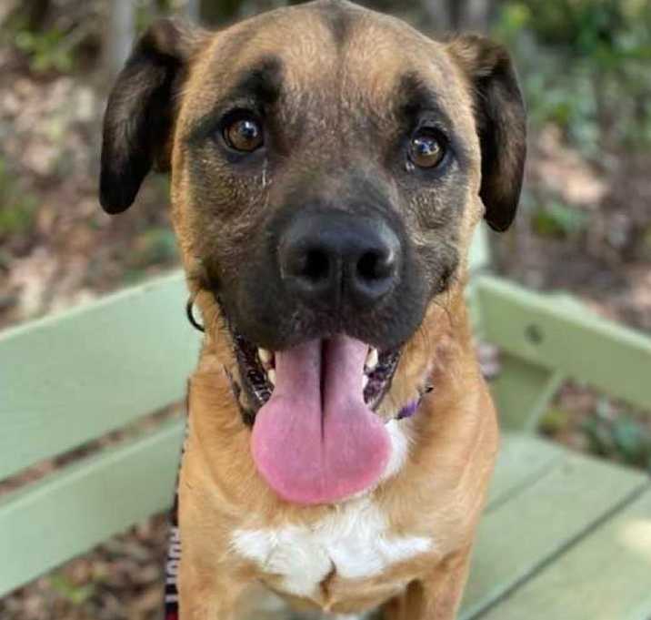Photo of Apollo