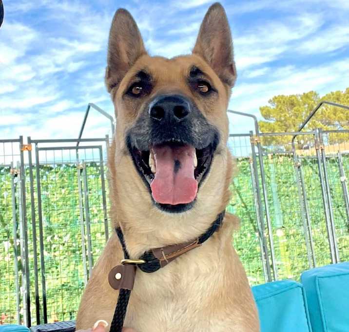 Photo of Bingo 