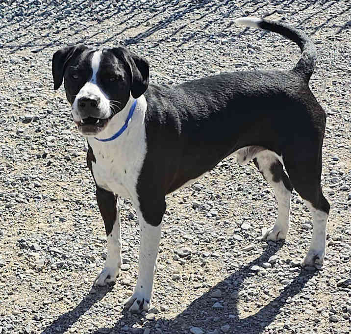 Photo of Ares