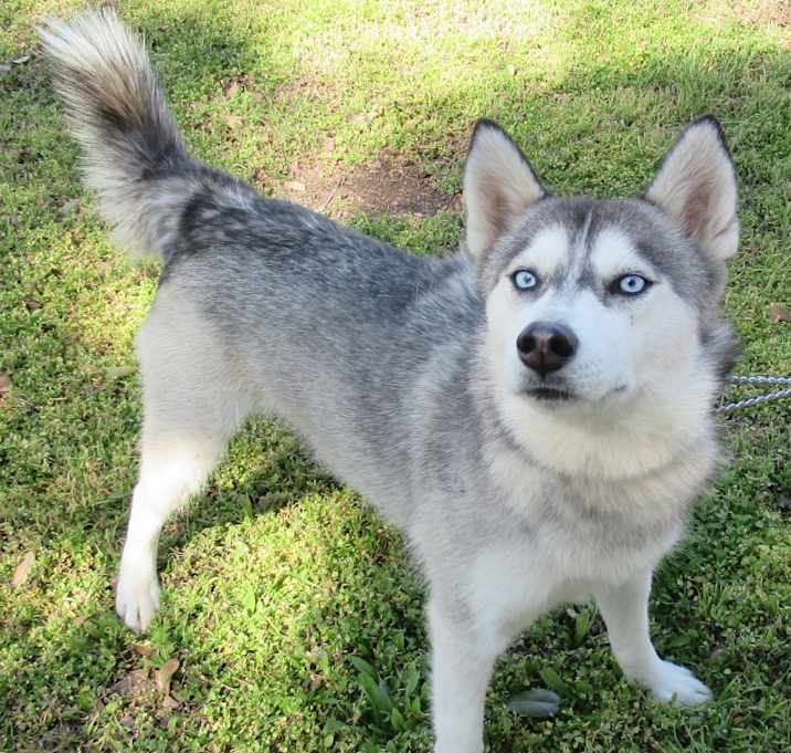 Photo of Yoti