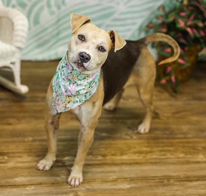 Photo of PopTart (sponsored)