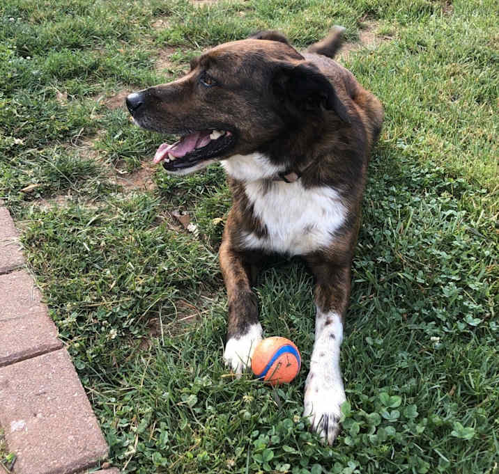 Photo of Lulu