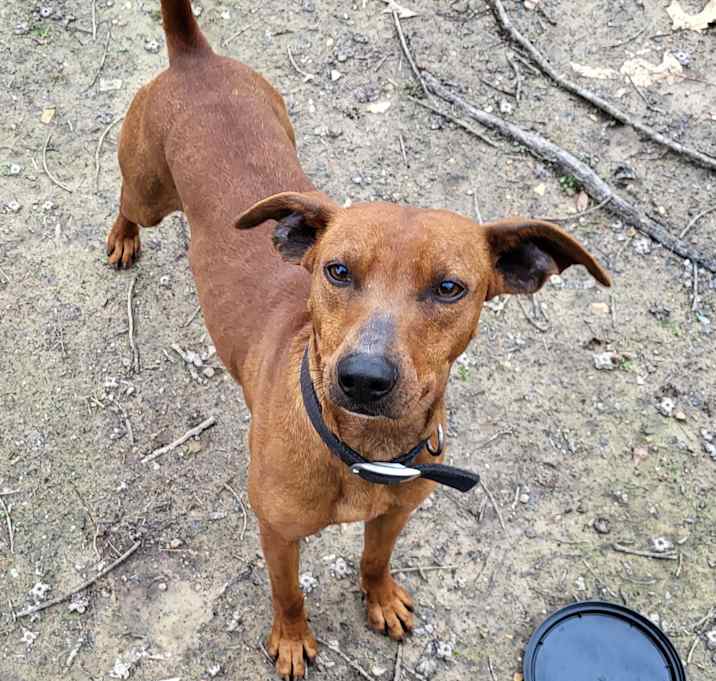 Photo of Petey