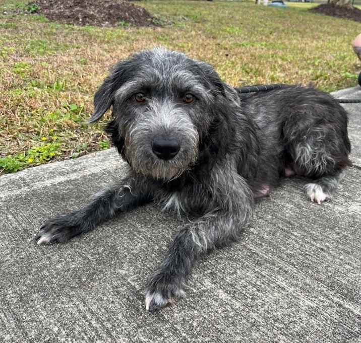 Photo of Veruca