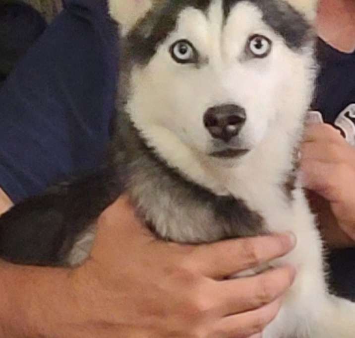 Photo of Ivy