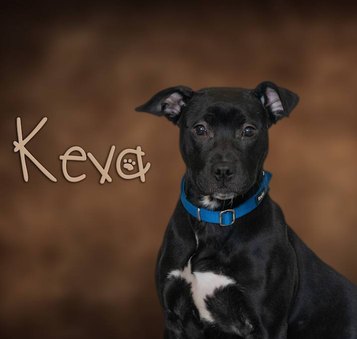 Photo of Keva