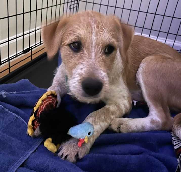 Photo of Wally