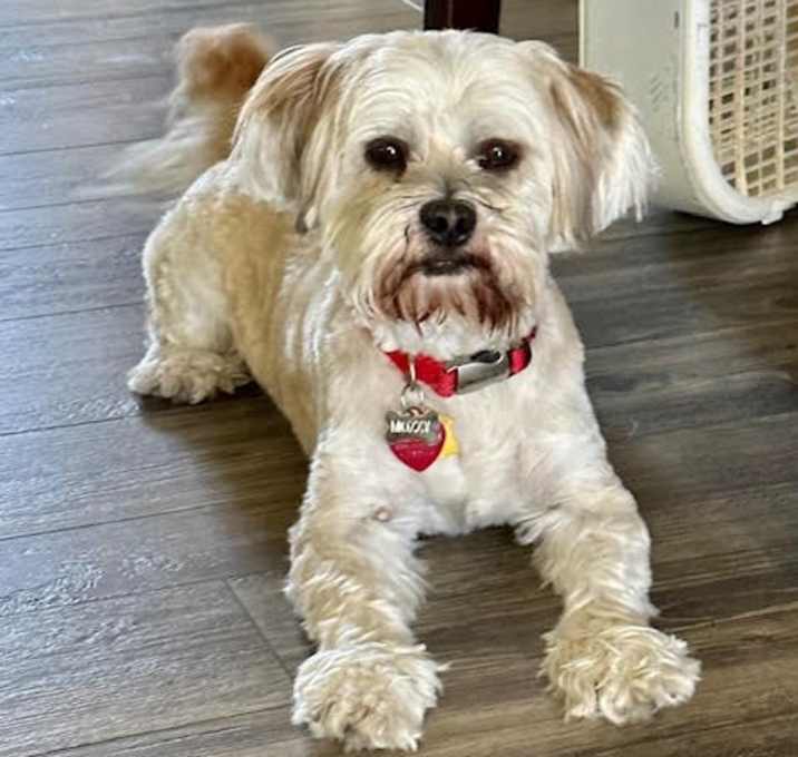 Photo of Arthur
