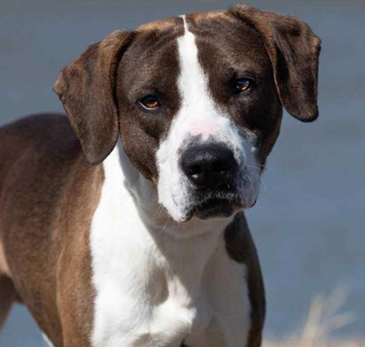 Photo of John Wick