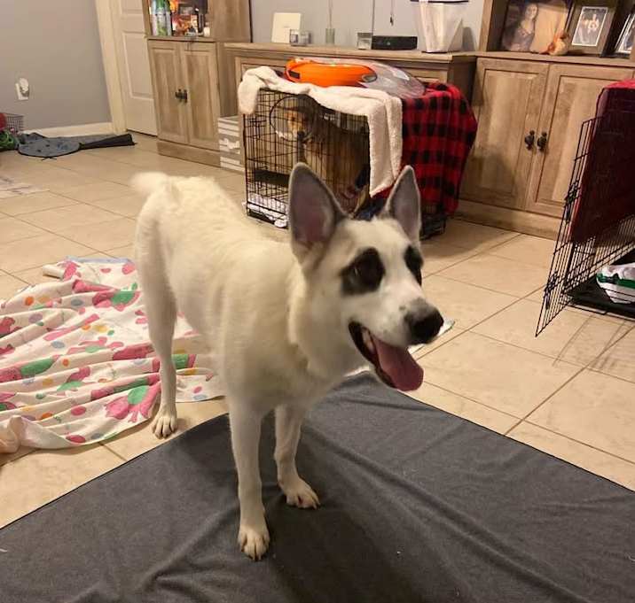 Photo of ASPEN