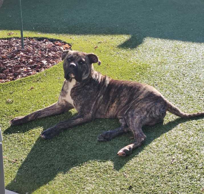 Photo of Bruce