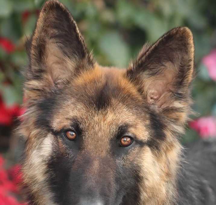 Photo of Lizzy von Lingen