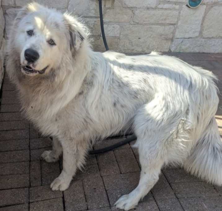Photo of Blue