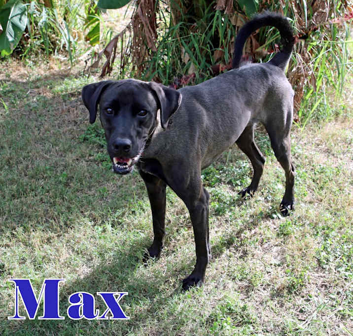 Photo of MAX