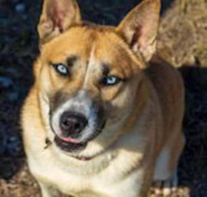 Photo of Kuma