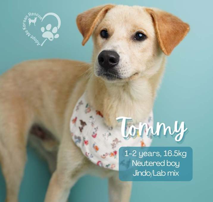 Photo of Tommy