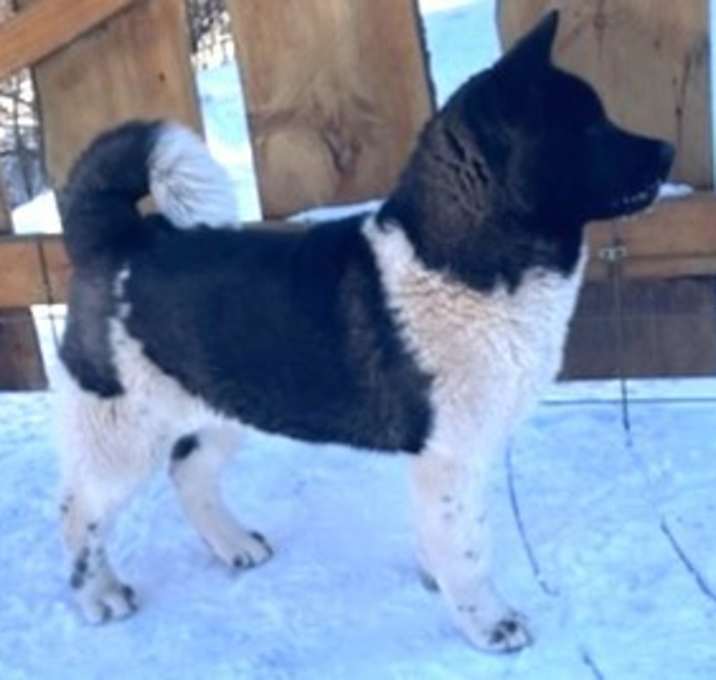 Photo of Roxy