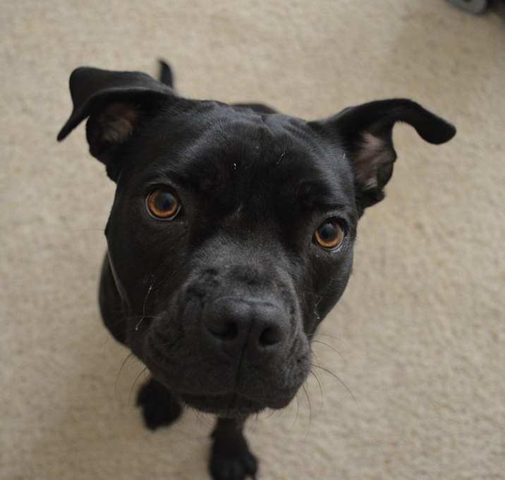 Photo of Hope