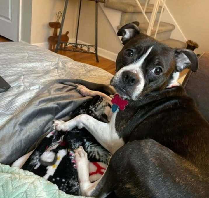 Photo of Susie