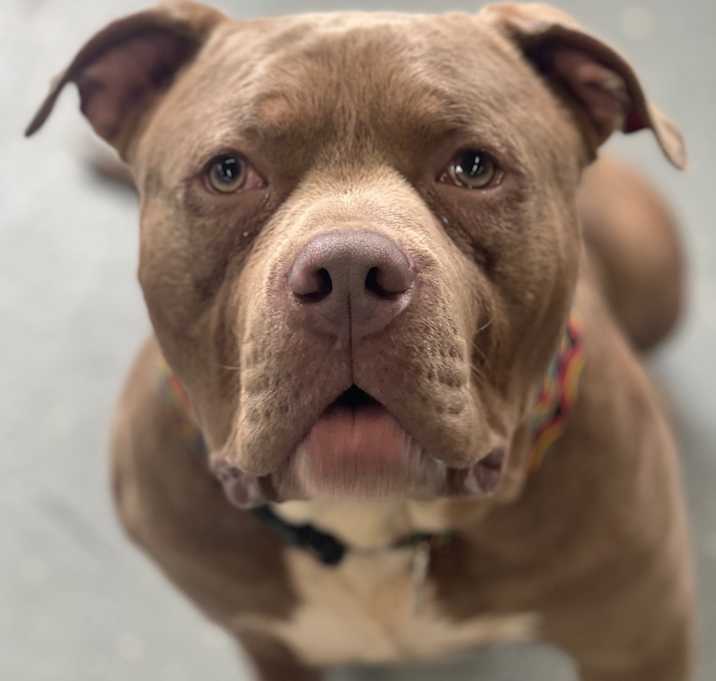 Photo of Hoover
