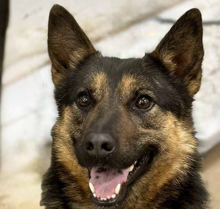 Photo of Sapphire