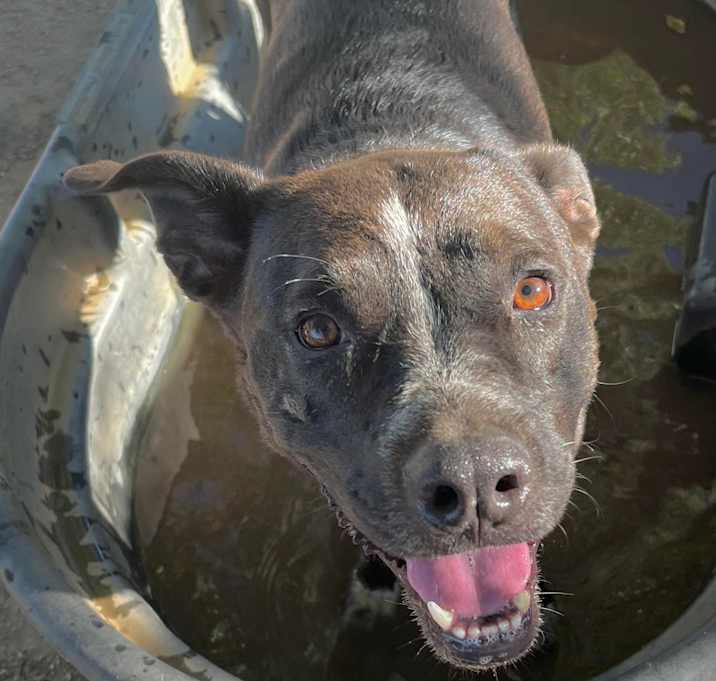 Photo of MACY