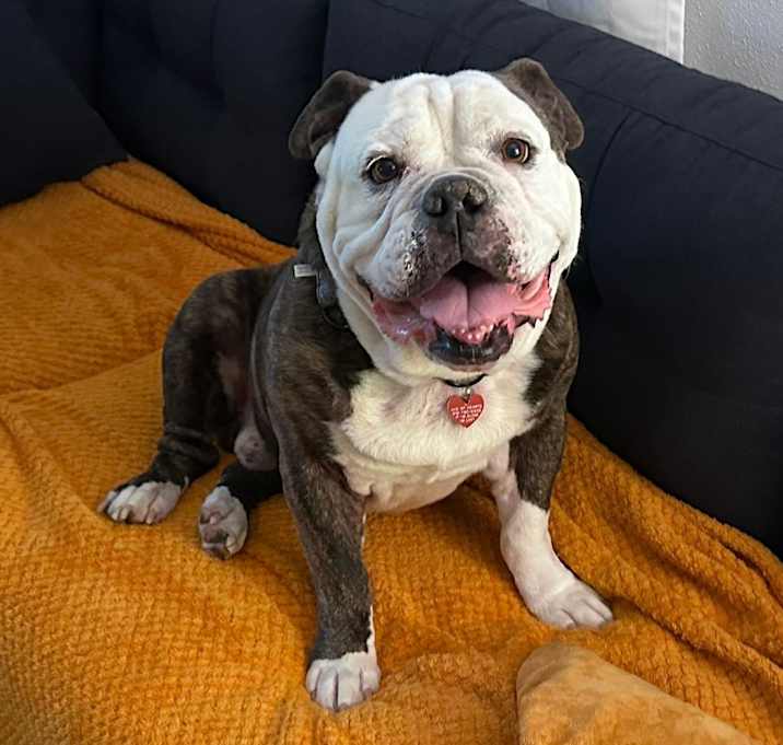 Photo of Bruce