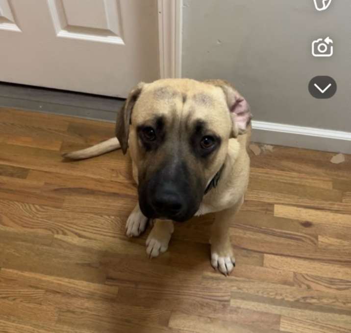 Photo of Gus