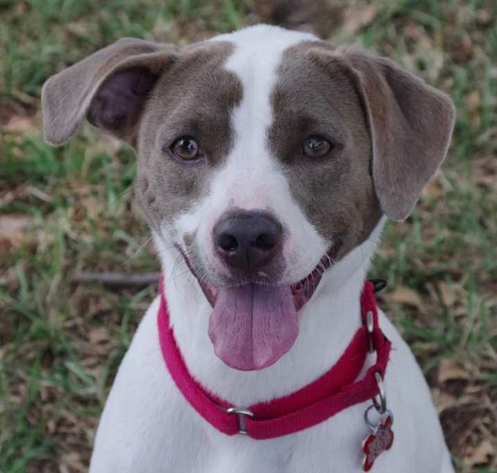 Photo of Yogi