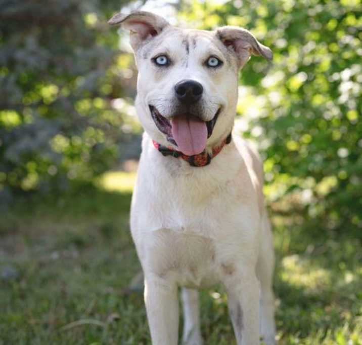 Photo of Bindi Roo