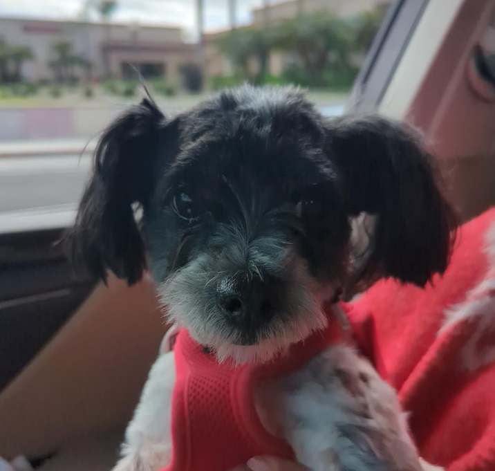 Photo of Theo