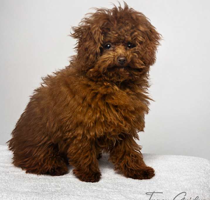 Photo of Ezekiel