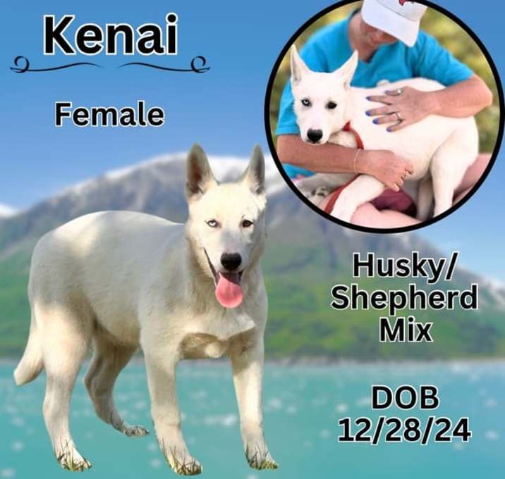 Photo of Kenai