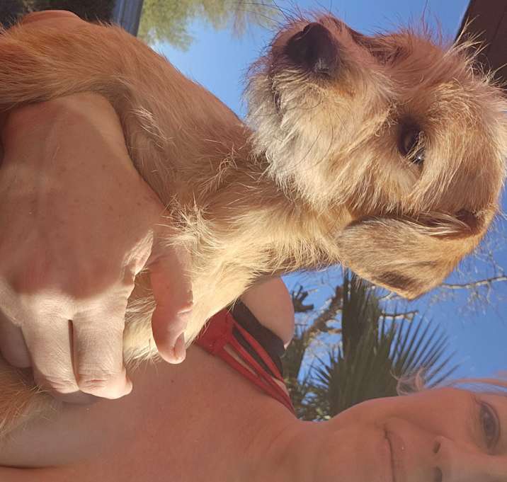 Photo of Scrappy
