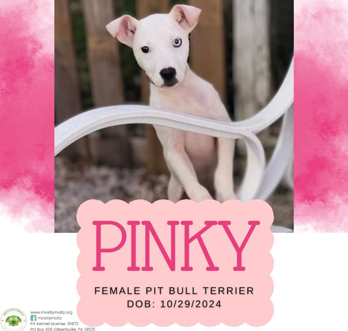 Photo of Pinky