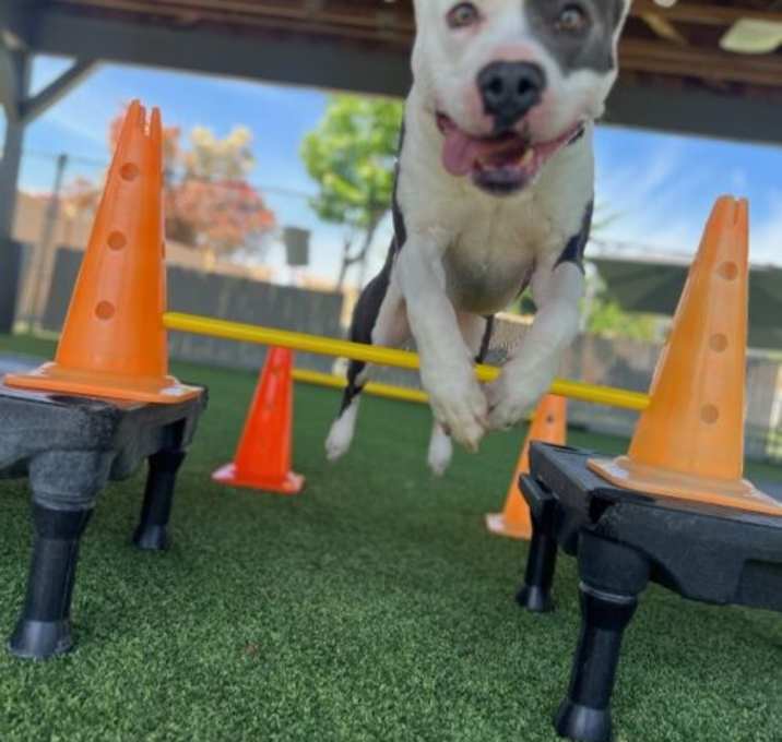 Photo of Twist