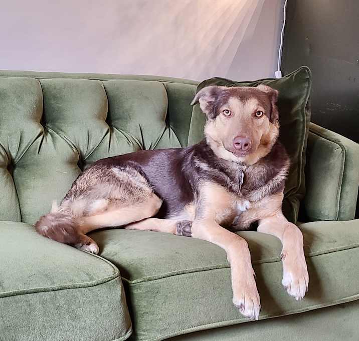 Photo of Carmie