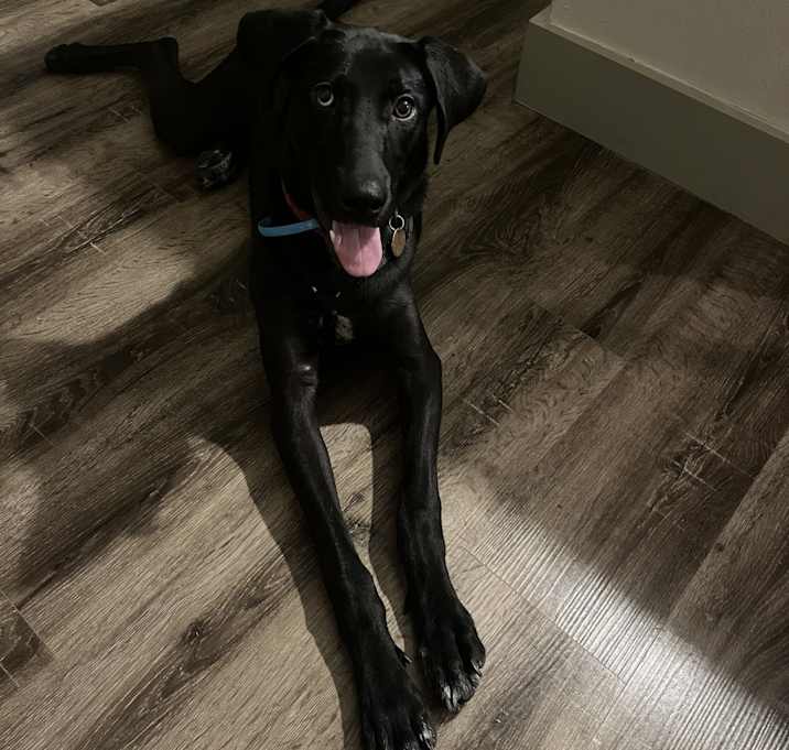 Photo of Winnie