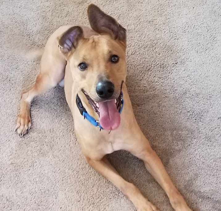 Photo of Skippy