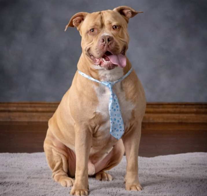 Photo of Teddy