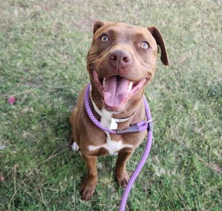 Photo of MAUDE