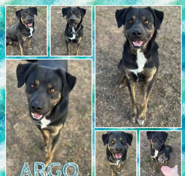 Photo of Argo