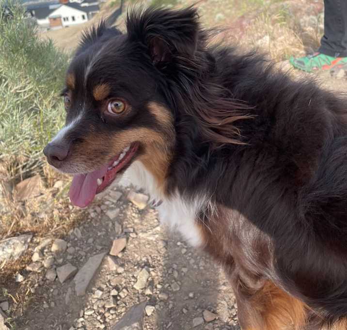 Photo of Milly