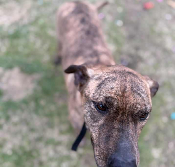 Photo of Leia
