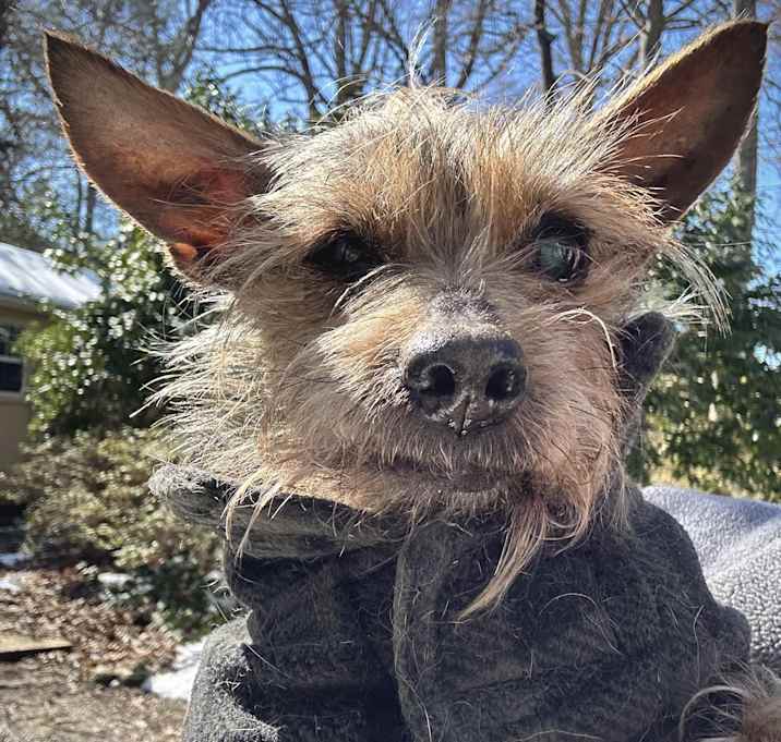 Photo of Sam