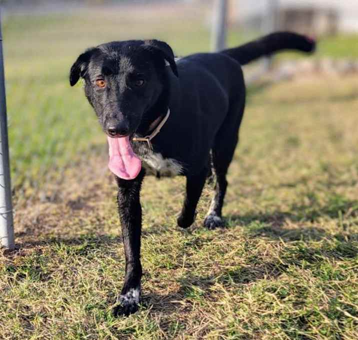 Photo of Binky