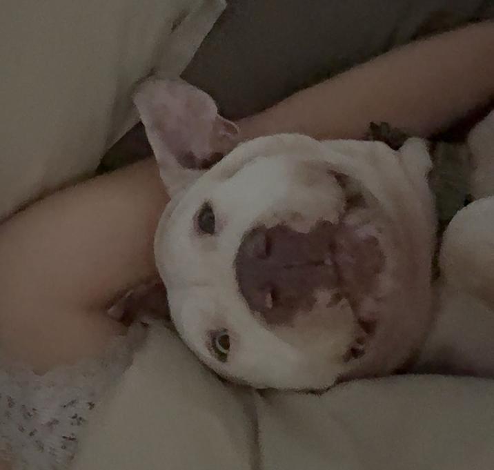 Photo of Kira