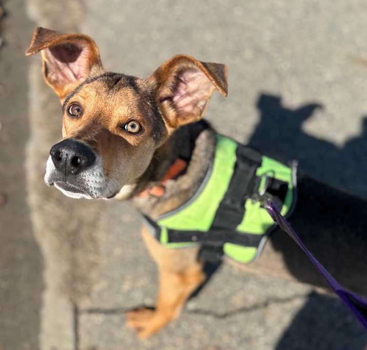 Photo of Bud